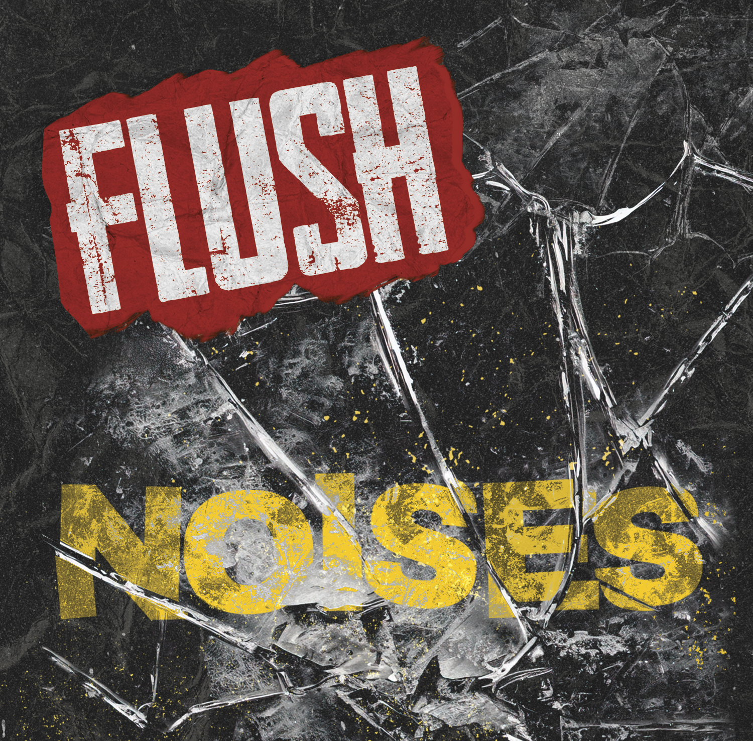 Flush — Noises album cover